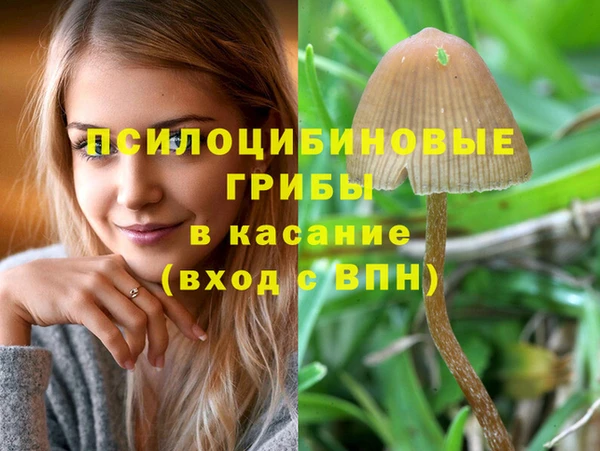 соль ск Алексин