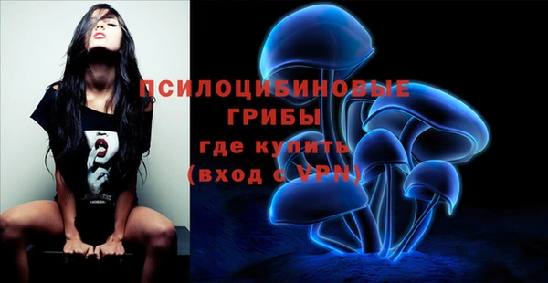 синтетический гашиш Нижневартовск