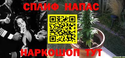 jwh Краснодар