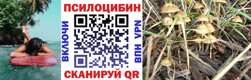 KRAKEN рабочий сайт Дальнереченск Галлюциногенные грибы GOLDEN TEACHER наркотики